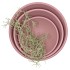 VINCI PINK BOWL LOW 30X9CM NM
