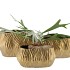 MULTAN GOLD POT OVAL 27,5X17,5X18,5CM