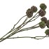 SILK SCABIOSA TAK LILA 68CM NM