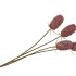 SILK DIPSACUS RED 66CM NM