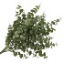 SILK EUCALYPTUS GREEN 47CM NM