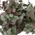 SILK EUCALYPTUS GREEN/PURPLE 47CM NM
