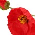 SILK POPPY LEAF RED 96CM NM