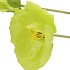 SILK POPPY LEAF GREEN 96CM NM