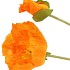 SILK POPPY LEAF LIGHT ORANGE 96CM NM
