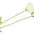 SILK POPPY LEAF WHITE 96CM NM