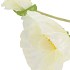 SILK POPPY LEAF WHITE 96CM NM