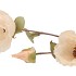 SILK POPPY 3X PINK 76CM