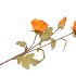 SILK POPPY 3X ORANGE 76CM