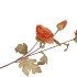 SILK POPPY 3X LIGHT PINK 76CM