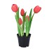 SILK TULIP IN POT 5X FUCHSIA 26CM NM