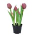 SILK TULIP IN POT 5X MAUVE 26CM NM