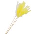 VEREN GEEL/WIT OP STOK 50CM /50