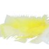 VEREN GEEL/WIT OP STOK 50CM /50
