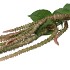 SILK AMARANTHUS GREEN 132CM