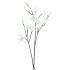 SILK MAGNOLIA WHITE 93CM NM