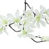 SILK MAGNOLIA WHITE 93CM NM