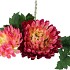 SILK CHRYSANT FUCHSIA 71CM NM