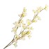 SILK WOLFBERRY WHITE 106CM NM