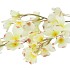 SILK WOLFBERRY WHITE 106CM NM