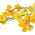SILK WOLFBERRY YELLOW 106CM NM
