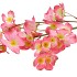 SILK WOLFBERRY PINK 106CM NM