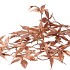 SILK MAPLE LEAVES COPPER 108CM NM
