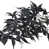 SILK MAPLE LEAVES BLACK 108CM NM