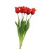 SILK TULIP 5X RED 46CM NM