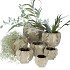 TIRANA LIGHT GREEN POT 13X10CM