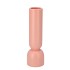 BUKAN PEACH MAT TUBE VAAS 7X24CM