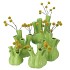 AGLIO VAAS SHINY APPLE GREEN 17X20CM