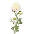 SILK DAHLIA 3X WHITE 65CM NM