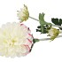 SILK DAHLIA 3X WHITE 65CM NM