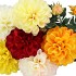 SILK DAHLIA 3X WHITE 65CM NM