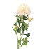 SILK DAHLIA 3X CREME 65CM NM