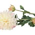 SILK DAHLIA 3X CREME 65CM NM