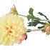 SILK DAHLIA 3X PEACH 65CM NM