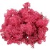 MOS ICELAND FUCHSIA