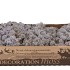 MOS ICELAND LAVENDEL 500GRAM NM