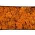 MOS ICELAND ORANJE 500GRAM