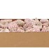 SHELLS TROCHUS MACULATOS 1130GR