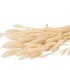 DRY LAGURUS CREME P/50 GRAM