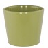 CERAMIC AMAZONE GREEN POT 13CM