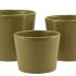 CERAMIC AMAZONE GREEN POT 15CM