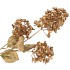 SILK DYE GOLD HORTENSIA 3X 87CM