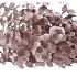 SILK DYE CHAMPAGNE EUCALYPTUS 47CM