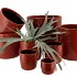 IRON STONE RED GLAZED POT 13X13CM