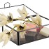 AMBER BOX GLAS BLACK 18X12X6CM P/1 NM