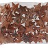 NATURE COCONUT NATURAL MISTY 10CM P/50